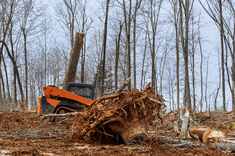 Storm response with heavy equipment removing debris after severe weather event