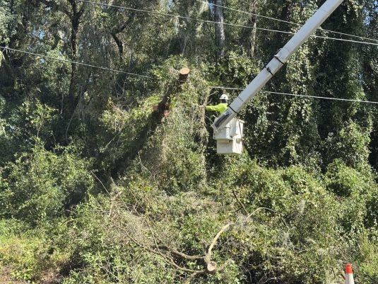 Hurricane Idalia - Florida 2-Idalia